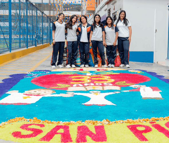 alfombras-10
